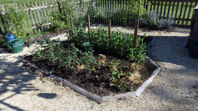 Obstbau Gartenbau Heimbuchenthal