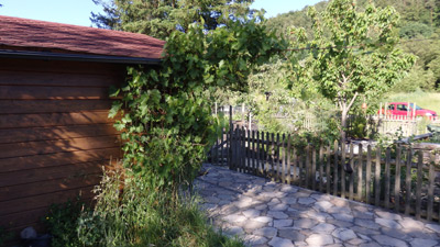 Obstbau Gartenbau Heimbuchenthal