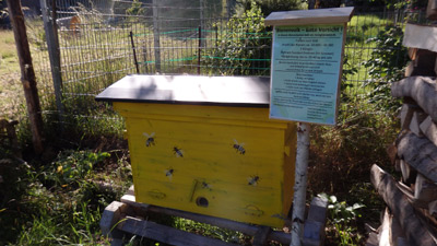 Obstbau Gartenbau Heimbuchenthal