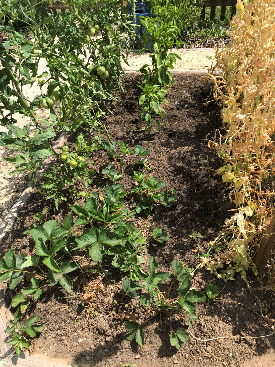 Obstbau Gartenbau Heimbuchenthal