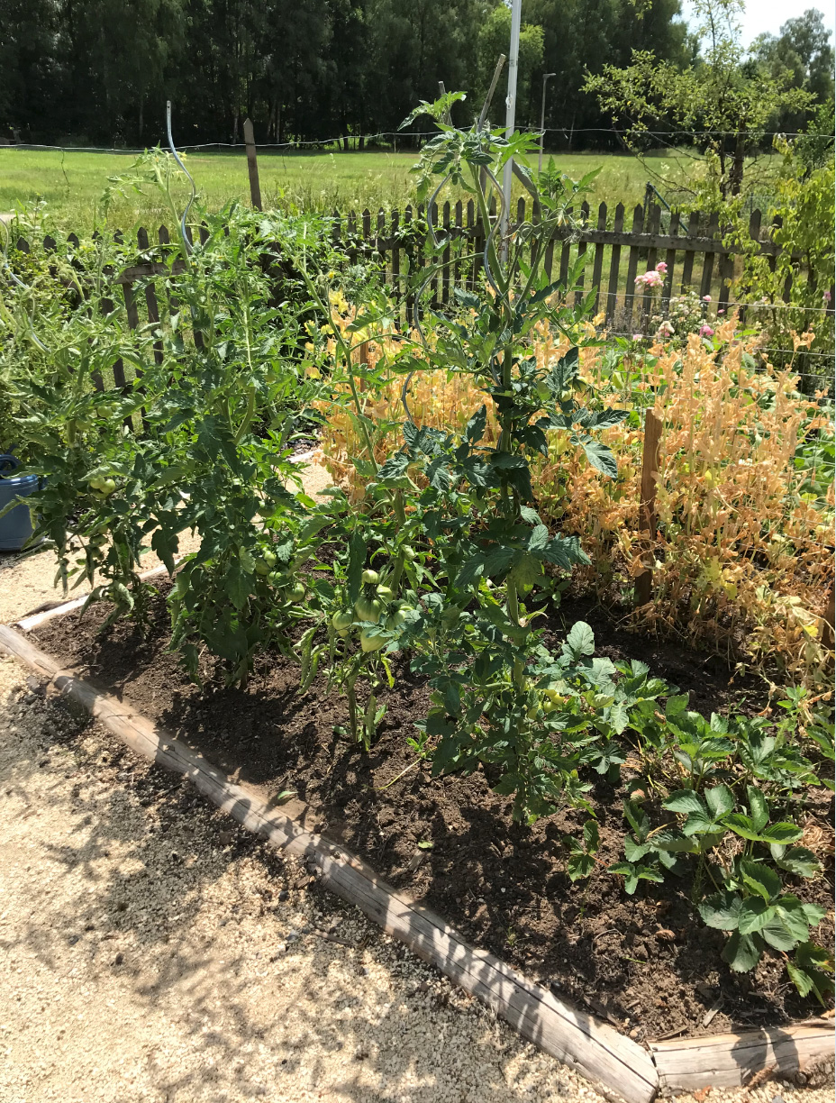 Obstbau Gartenbau Heimbuchenthal