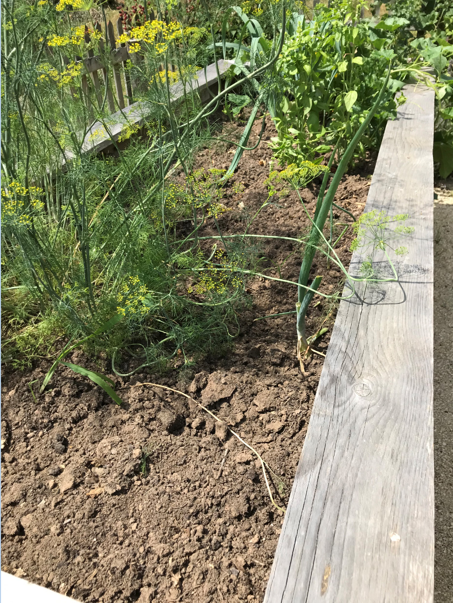 Obstbau Gartenbau Heimbuchenthal