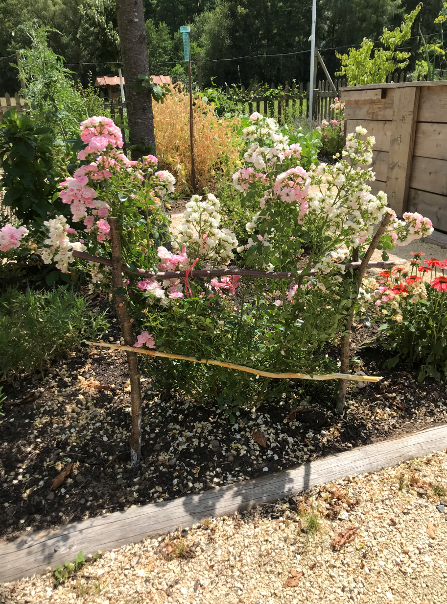 Obstbau Gartenbau Heimbuchenthal